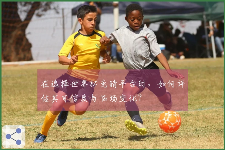 在选择世界杯竞猜平台时,如何评估其可信度与临场变化?