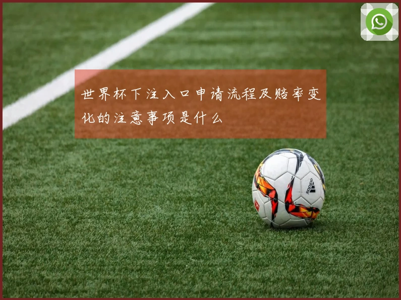 世界杯下注入口申请流程及赔率变化的注意事项是什么
