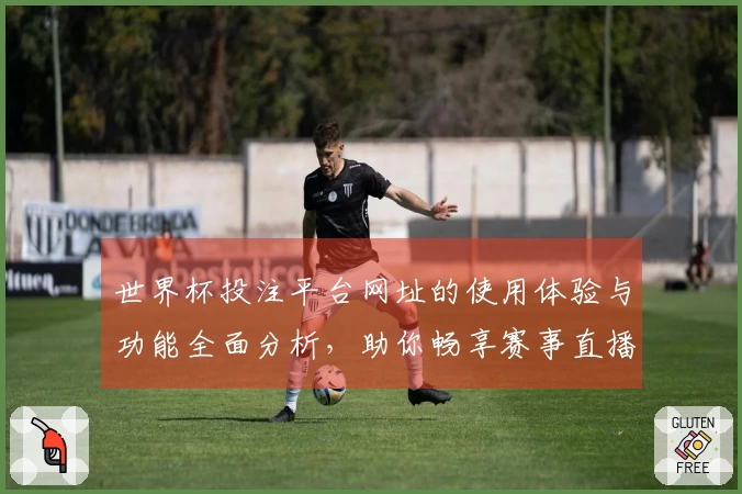 世界杯投注平台网址的使用体验与功能全面分析，助你畅享赛事直播乐趣