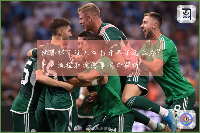 世界杯下注入口打开不了怎么办？开户流程和注意事项全解析