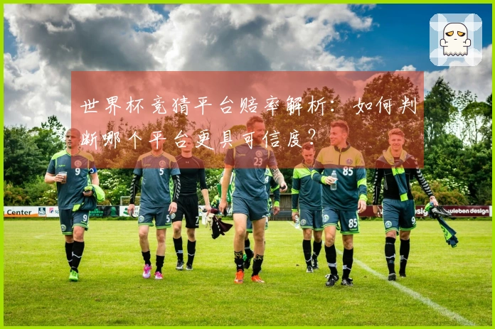 世界杯竞猜平台赔率解析:如何判断哪个平台更具可信度?