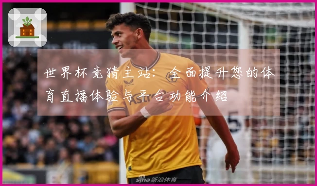 世界杯竞猜主站：全面提升您的体育直播体验与平台功能介绍