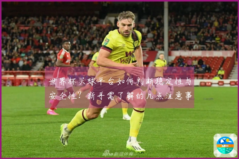 世界杯买球平台如何判断稳定性与安全性？新手需了解的几点注意事项