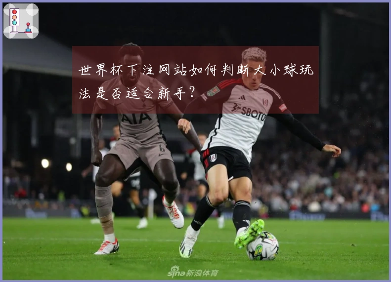 世界杯下注网站如何判断大小球玩法是否适合新手？