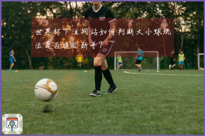 世界杯下注网站如何判断大小球玩法是否适合新手？