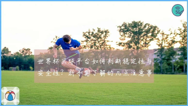 世界杯买球平台如何判断稳定性与安全性？新手需了解的几点注意事项