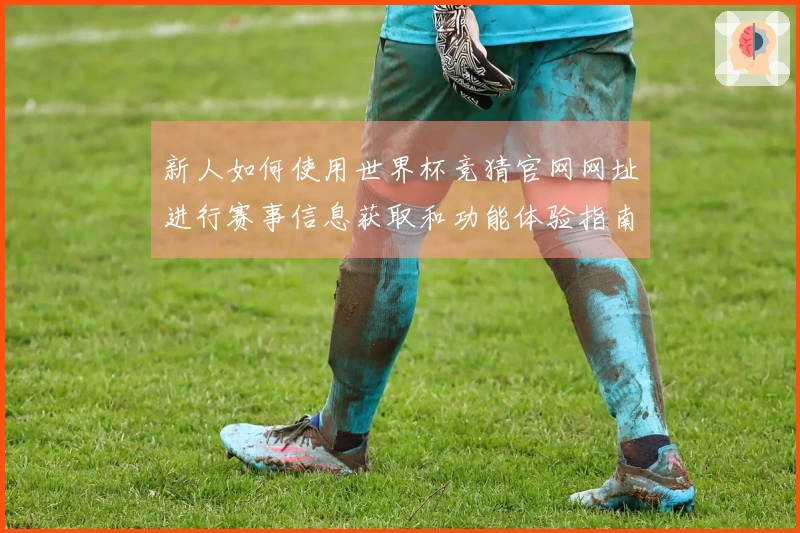 新人如何使用世界杯竞猜官网网址进行赛事信息获取和功能体验指南