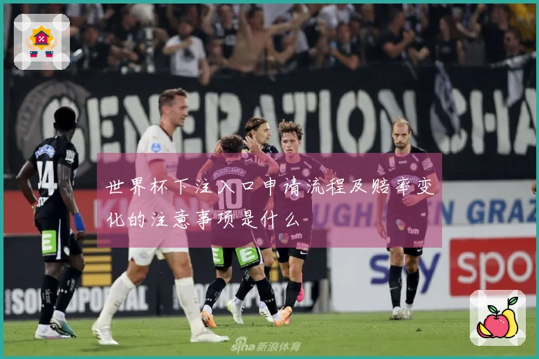 世界杯下注入口申请流程及赔率变化的注意事项是什么