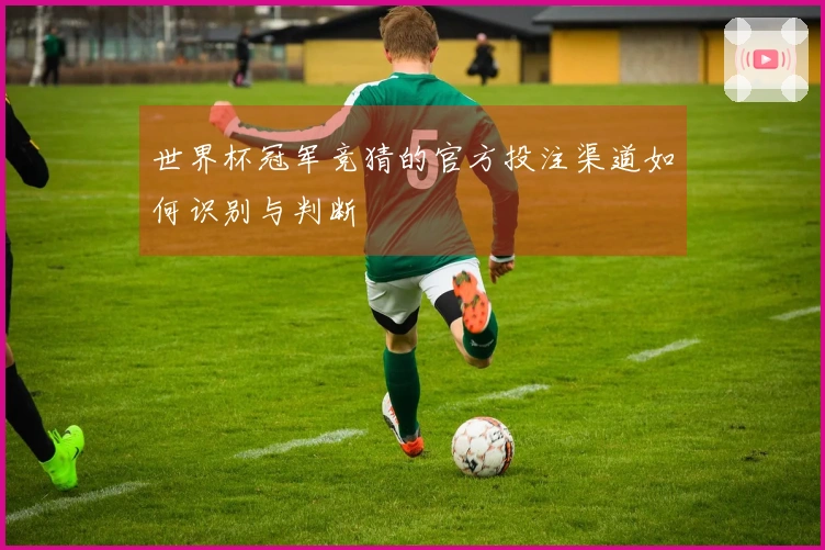 世界杯冠军竞猜的官方投注渠道如何识别与判断